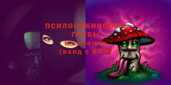 молекула духа Алексин