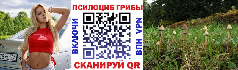 Псилоцибиновые грибы MAGIC MUSHROOMS  хочу наркоту  Клин 